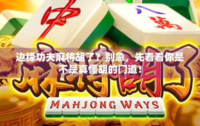 边锋功夫麻将胡了？别急，先看看你是不是真懂胡的门道！